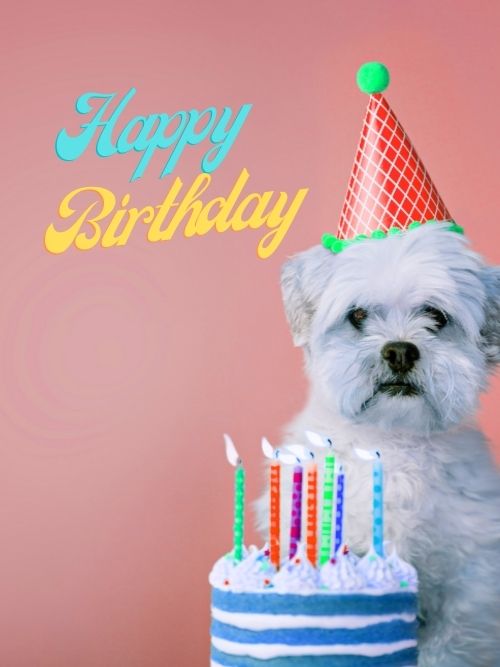 Happy Birthday Images with dog