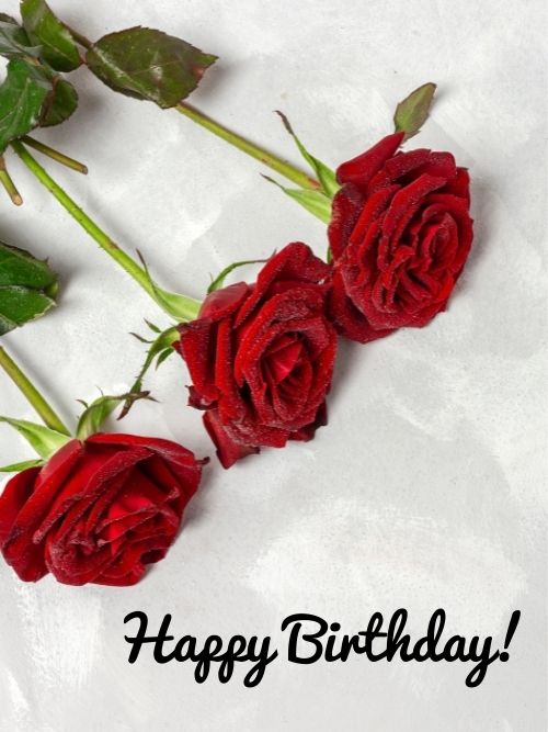 Happy Birthday pictures with flowers rose free download