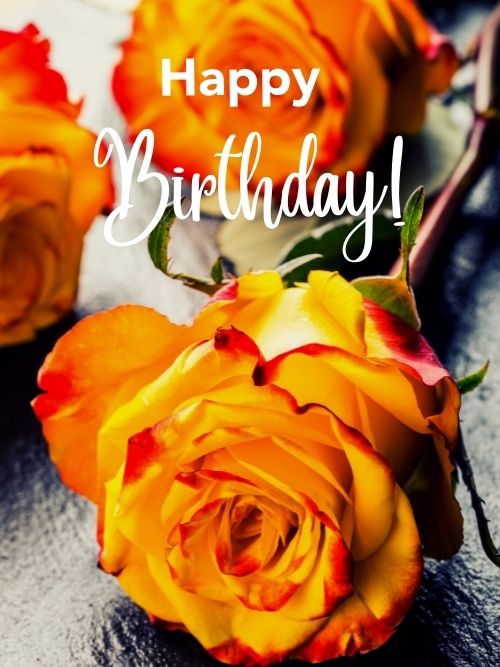 Happy Birthday pictures with flowers rose orange