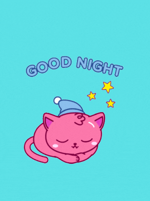 good night gif cat