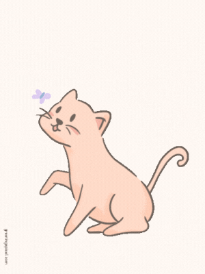 good night gif cute with cat