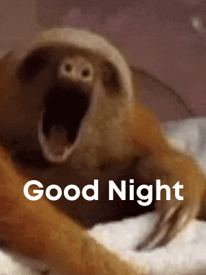 good night gif funny sloth
