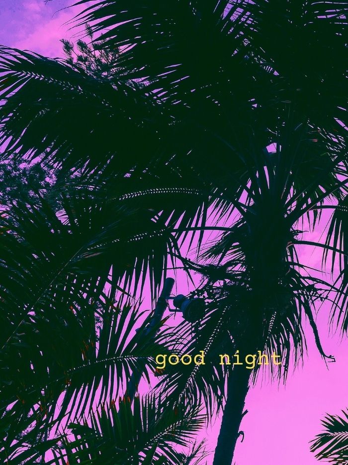 good night images aesthetic palm purple
