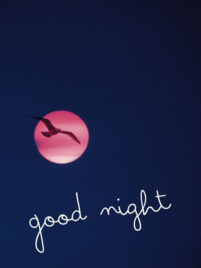 good night images bird and moon
