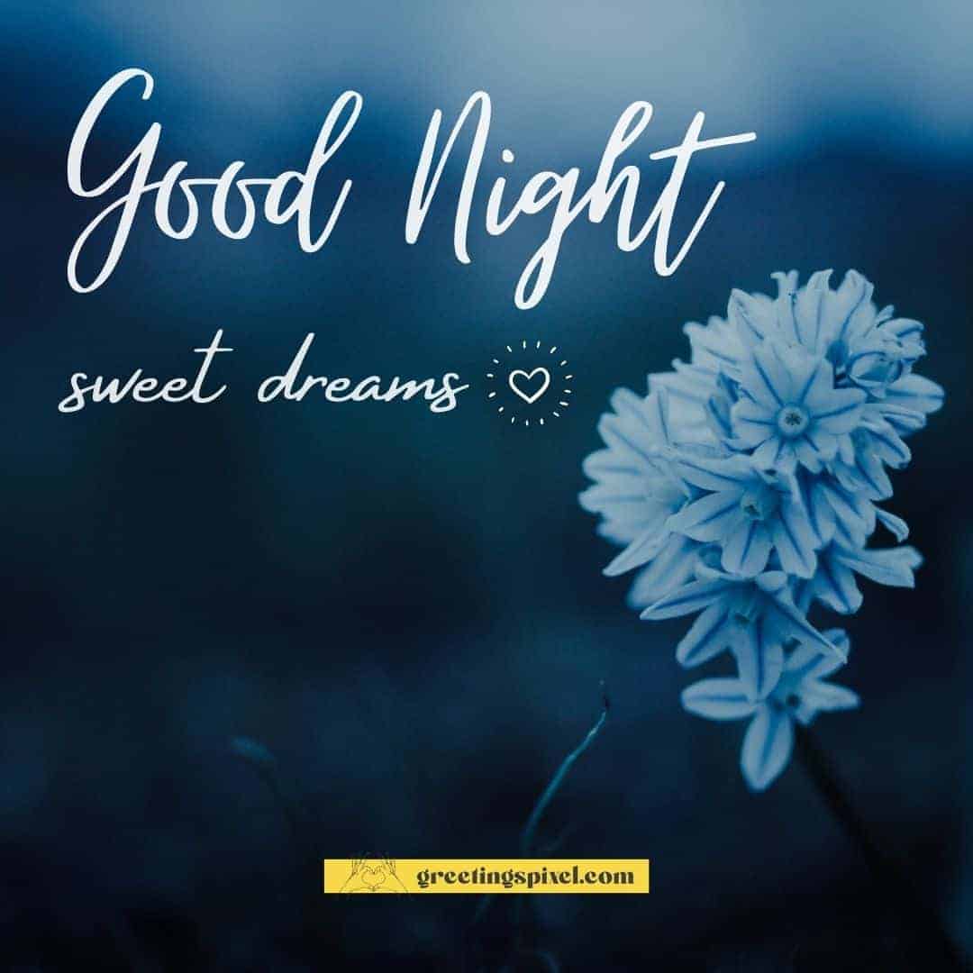 good night images sweet dreams love